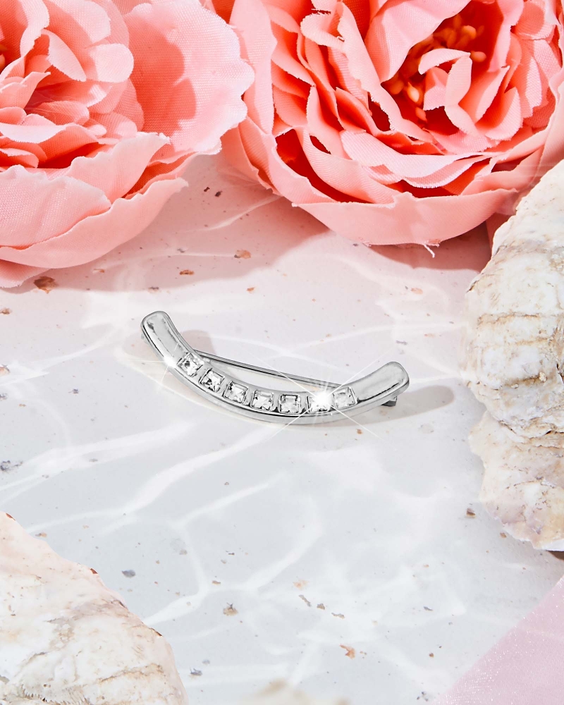 Image of CURVED CRYSTAL PIN - SILVER